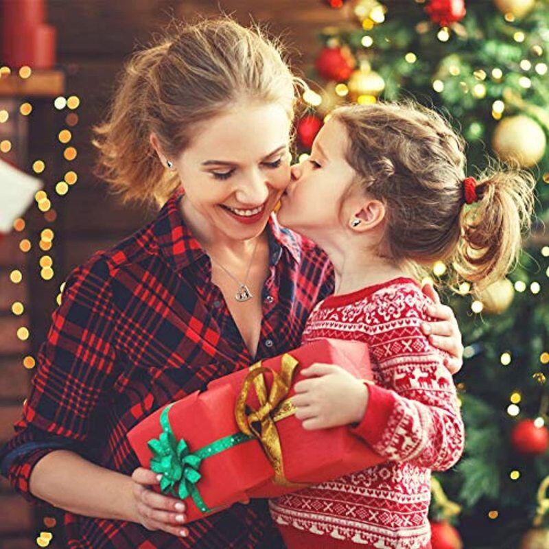 Collier avec pendentif en forme de cœur de pingouin en argent sterling et zircone cubique-3