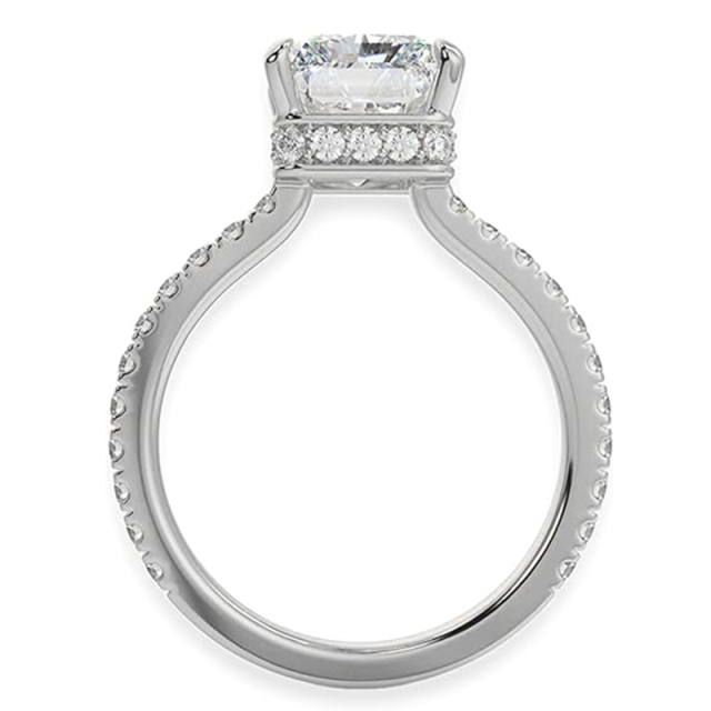 Sterling zilveren prinses-vierkante Moissanite vierkante verlovingsring-4