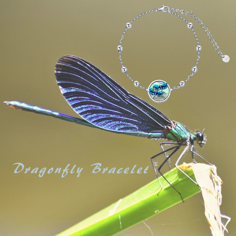 Sterling Silver Round Abalone Shellfish Dragonfly Charm Bracelet-6