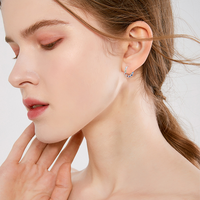 Sterling Silver Round Zircon Chakras Hoop Earrings-2