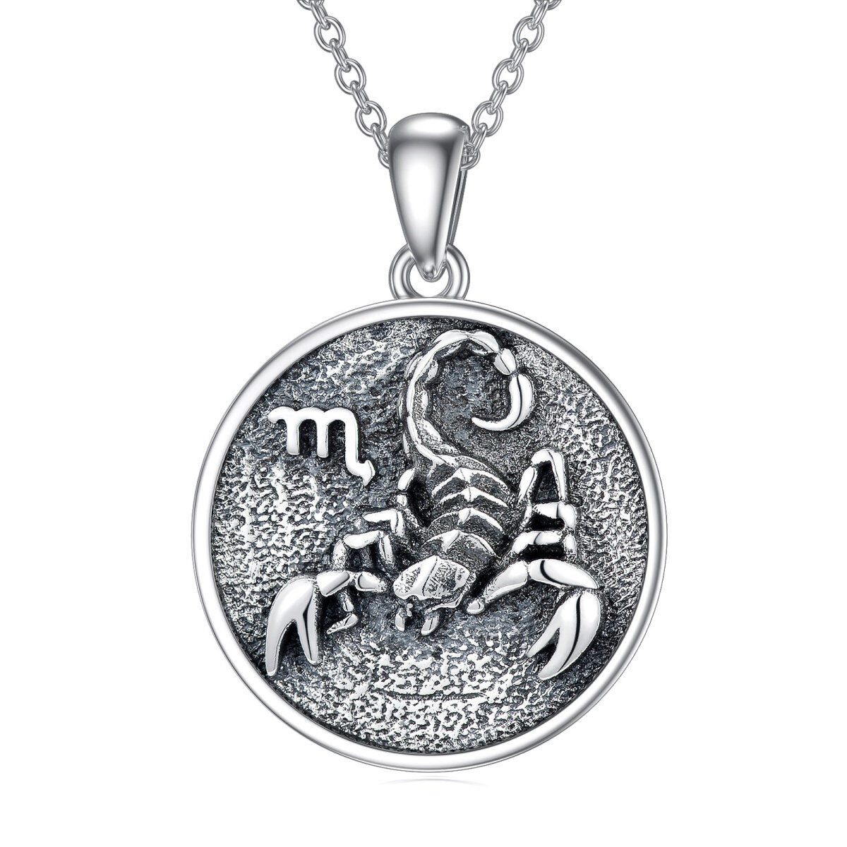 Collier en argent sterling avec pendentif Scorpion-1