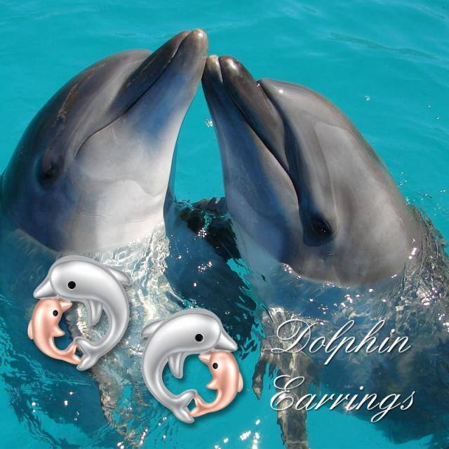 Sterling Silver Two-tone Dolphin Stud Earrings-6