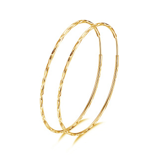 Sterling Silver with Yellow Gold Plated Circle Hoop Earrings-5