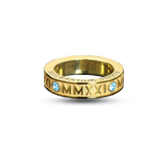 Sterling Silver With Yellow Gold Plated Circular Zircon Customized Birthstone & Personalized Engraving Ring For Women-30