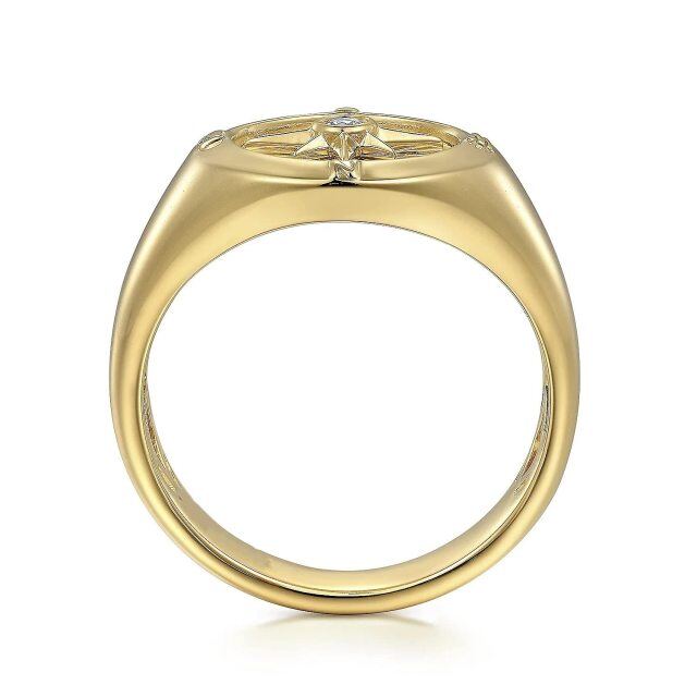 Anillo de plata de ley con circonita cúbica chapada en oro amarillo para hombre-4