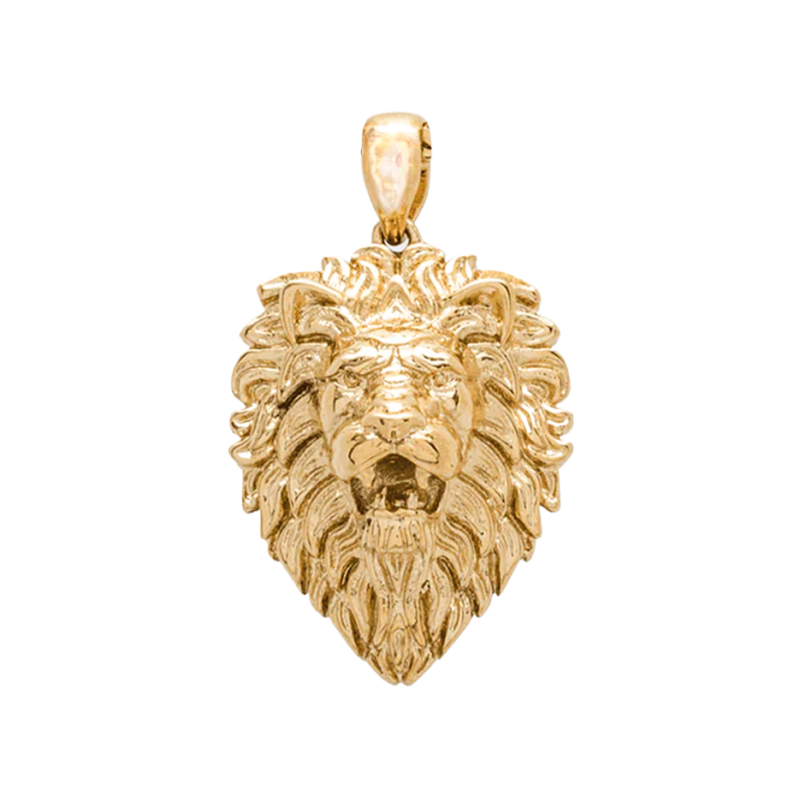 Sterling Silver with Yellow Gold Plated Lion Pendant Charms-1